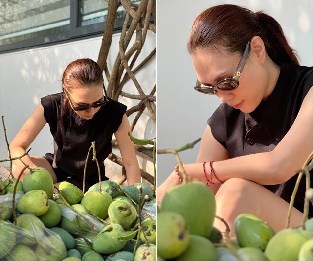 Tăng Thanh H&agrave;, Mỹ T&acirc;m đua nhau trồng 1 loại c&acirc;y cho quả l&uacute;c lỉu: Ngon, sạch chẳng lo thuốc trừ s&acirc;u c&ograve;n x&oacute;a nhăn da- Ảnh 2.