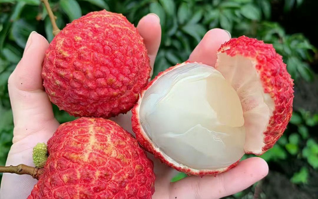 Quả khế thanh nhiệt rất tốt nhưng những người n&agrave;y kh&ocirc;ng n&ecirc;n ăn - Ảnh 2.