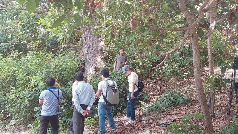 Loại gỗ hiếm bậc nhất thế giới, giới khoa học khẩn cấp bảo tồn: Việt Nam hiện c&ograve;n khoảng 13 c&acirc;y cổ thụ - Ảnh 3.