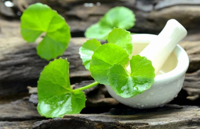 Những người kh&ocirc;ng n&ecirc;n uống nước rau m&aacute; kẻo "rước hoạ v&agrave;o th&acirc;n" - Ảnh 1.