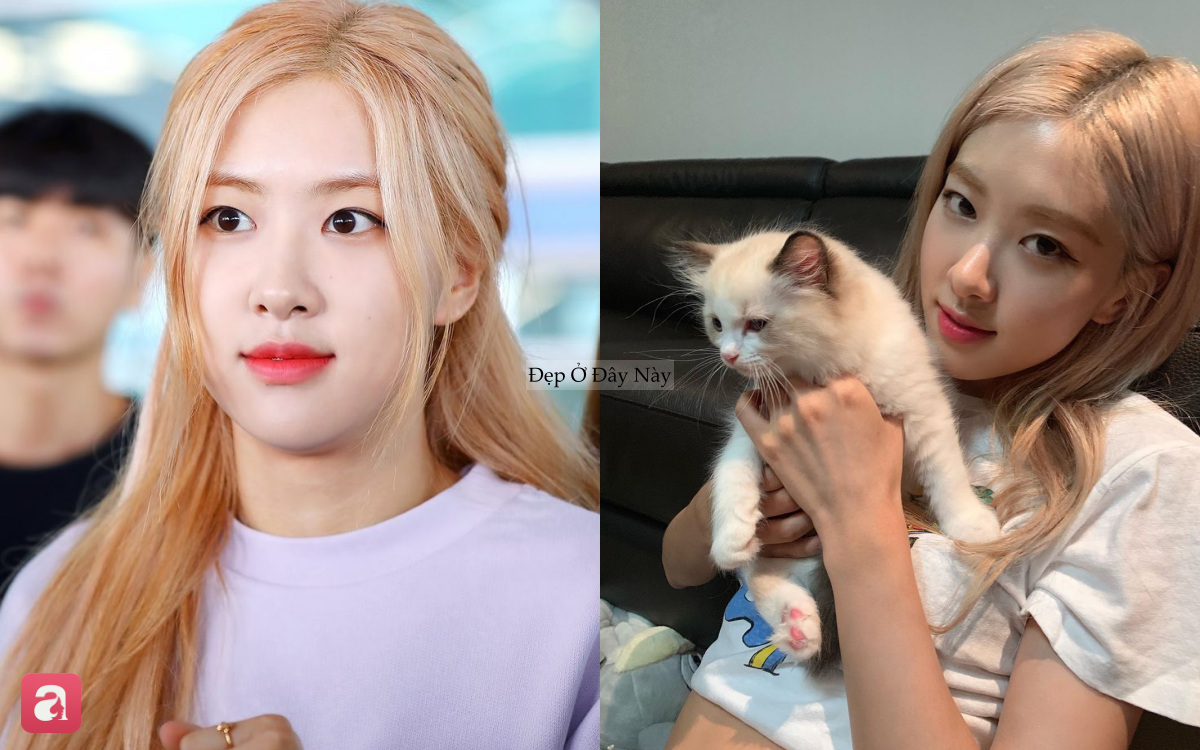 B&iacute; k&iacute;p chăm s&oacute;c da từ BLACKPINK: 4 th&oacute;i quen đơn giản nhưng gi&uacute;p l&agrave;n da lu&ocirc;n căng mịn, rạng rỡ - Ảnh 3.