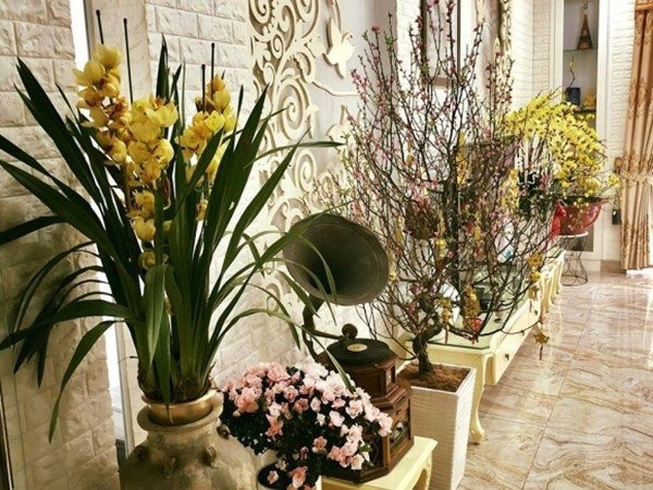 Nữ NSND t&aacute;i h&ocirc;n với t&agrave;i tử điện ảnh: H&ocirc;n nh&acirc;n vi&ecirc;n m&atilde;n ở tuổi 60, sở hữu to&agrave;n cơ ngơi khủng- Ảnh 8.