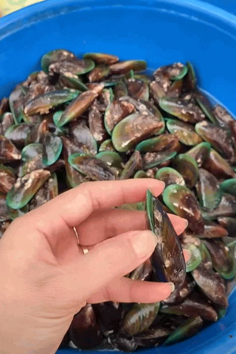 Chỉ với 100k, mẹ đảm Ninh B&igrave;nh "c&acirc;n" hết bữa ăn cho gia đ&igrave;nh 5 người khiến hội chị em rần rần xin b&iacute; k&iacute;p- Ảnh 9.