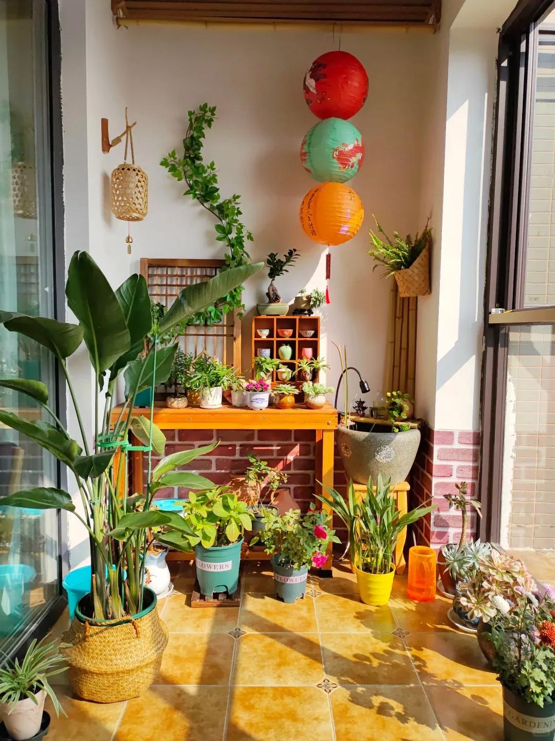 C&ocirc; g&aacute;i trẻ chi 14 triệu đồng cải tạo ban c&ocirc;ng 6m&sup2; th&agrave;nh &ldquo;khu vườn tr&ecirc;n cao&rdquo;: Nh&igrave;n xong chỉ muốn về nh&agrave; l&agrave;m lại ngay - Ảnh 3.