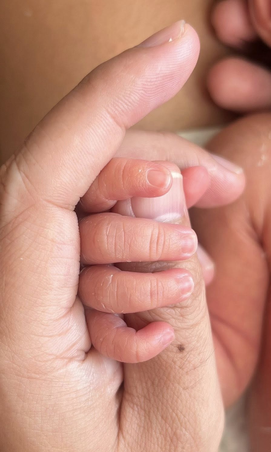 Miệt m&agrave;i l&agrave;m n&ocirc;i, may nệm, chuẩn bị gấu b&ocirc;ng cho con, cuối c&ugrave;ng TikToker &Uacute;t Về Vườn cũng sinh con đầu l&ograve;ng- Ảnh 4.