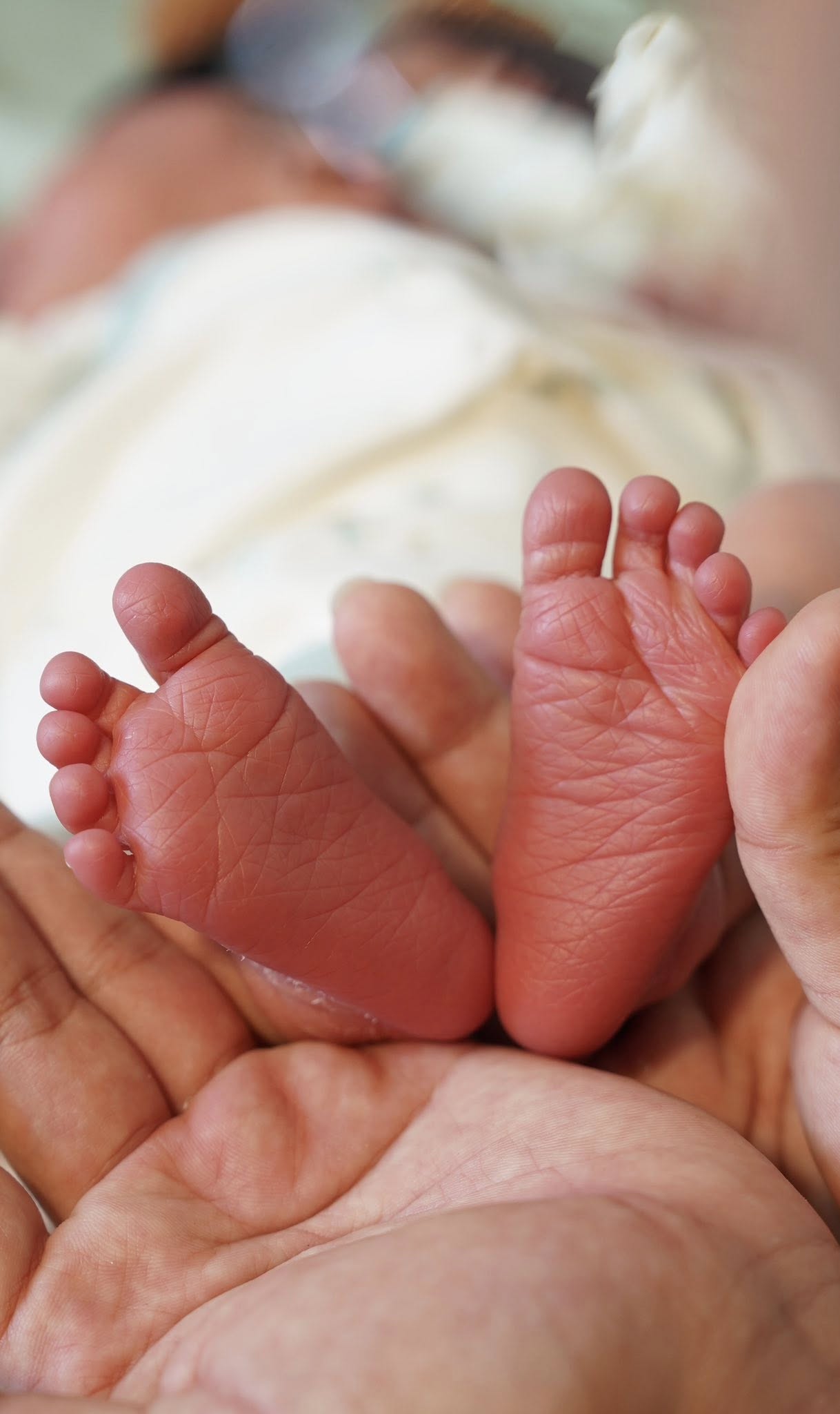 Miệt m&agrave;i l&agrave;m n&ocirc;i, may nệm, chuẩn bị gấu b&ocirc;ng cho con, cuối c&ugrave;ng TikToker &Uacute;t Về Vườn cũng sinh con đầu l&ograve;ng- Ảnh 3.