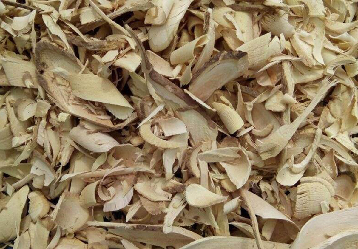 Ngỡ l&agrave; c&acirc;y dại ven đường, ai ngờ phần rễ b&aacute;n tới 10 triệu/kg, vẫn c&oacute; người mua - Ảnh 2.