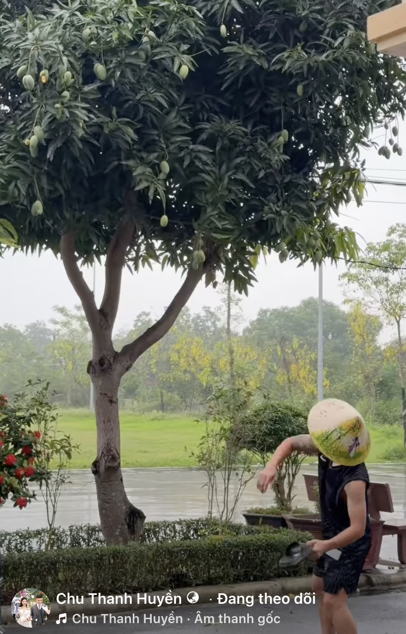 Chu Thanh Huyền đến ớt cũng phải đi xin h&agrave;ng x&oacute;m, nh&igrave;n sang Do&atilde;n Hải My ra cửa nh&agrave; h&aacute;i xo&agrave;i cả rổ ăn kh&ocirc;ng ch&aacute;n - Ảnh 5.