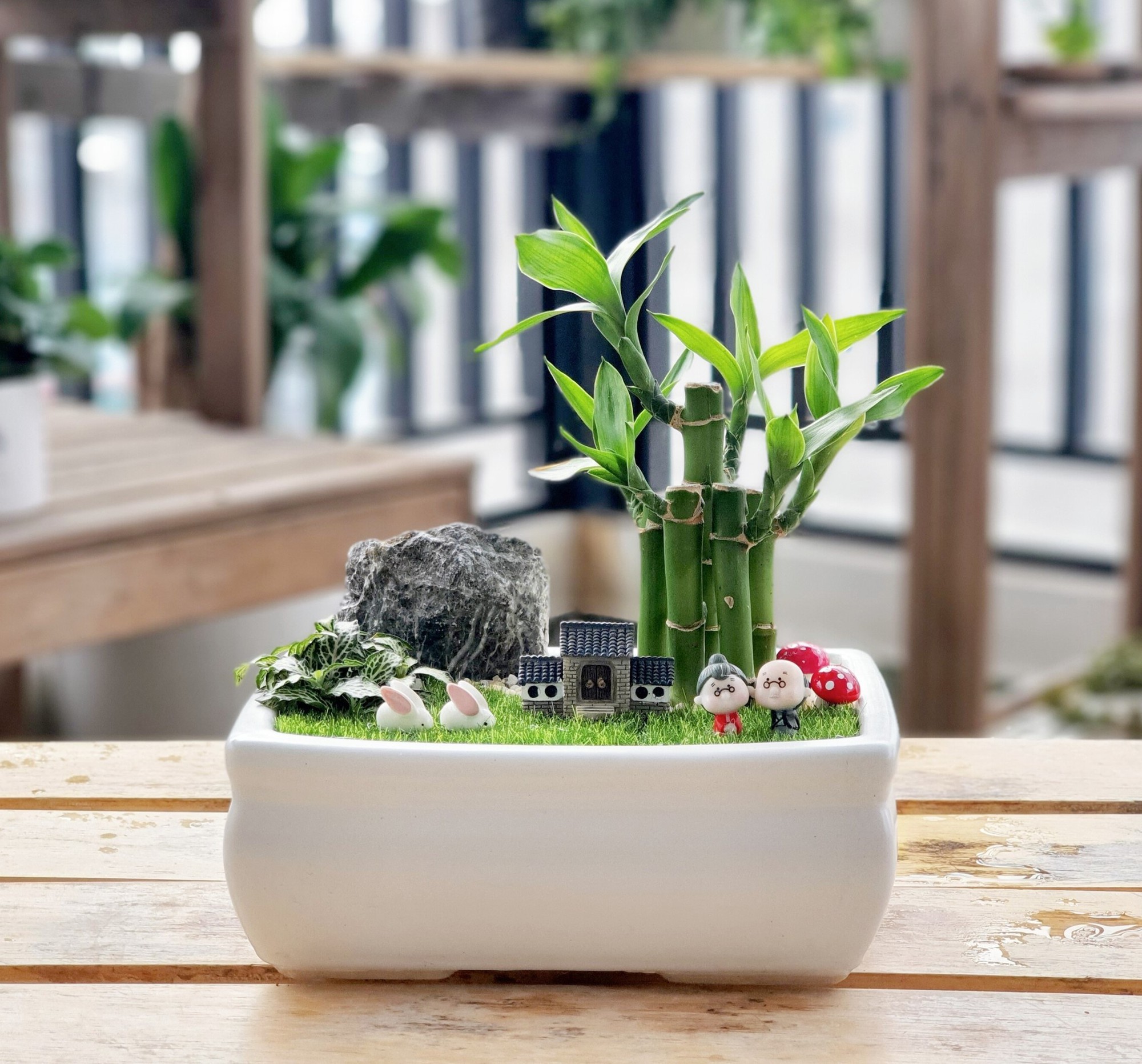 Tại sao mỗi b&agrave;n học n&ecirc;n c&oacute; một chậu tr&uacute;c ph&uacute; qu&yacute;? - Ảnh 1.