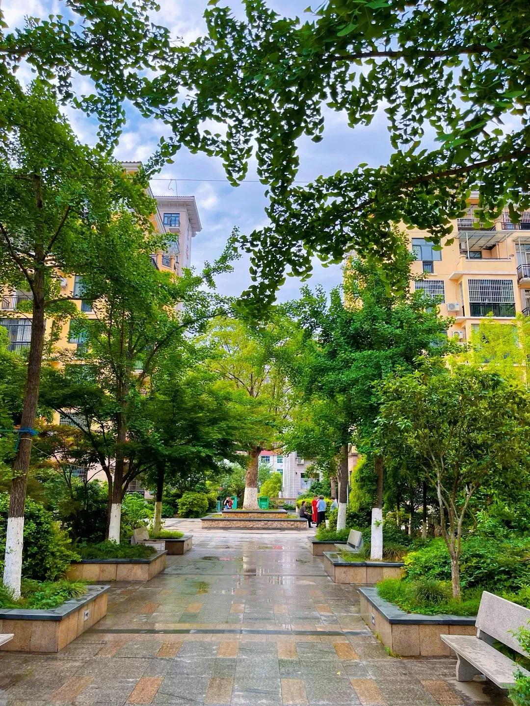 Rời căn hộ tầng 32 để về khu tập thể cũ, t&ocirc;i mới hiểu sống thoải m&aacute;i kh&ocirc;ng nằm ở việc nh&agrave; cao bao nhi&ecirc;u tầng- Ảnh 4.