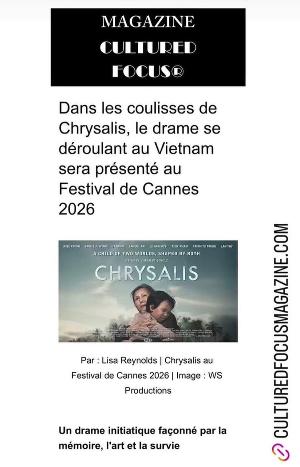 Tuyệt sắc giai nh&acirc;n Việt tỏa s&aacute;ng với &aacute;o d&agrave;i tr&ecirc;n thảm đỏ Cannes 2026, diễn xuất đỉnh cao được Hollywood vinh danh- Ảnh 5.