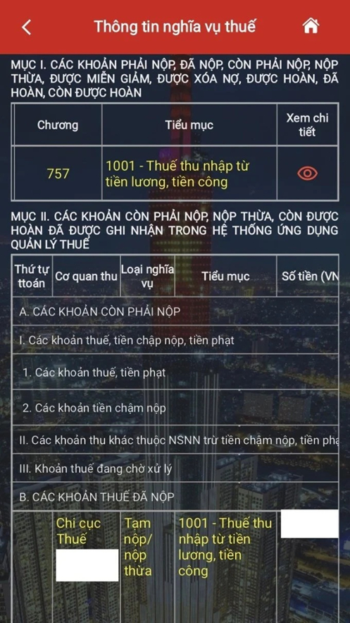 Một KOL vừa khoe đ&oacute;ng thuế hơn 500 triệu đồng, ảnh chụp m&agrave;n h&igrave;nh r&otilde; r&agrave;ng c&ocirc;ng khai- Ảnh 8.