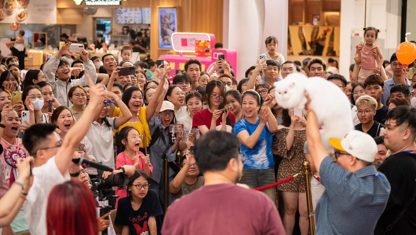 Cupido - &ldquo;idol t&oacute;p t&oacute;p&rdquo; đăng quang "Hoa hậu" cuộc thi m&egrave;o đẹp: Gi&aacute; v&agrave;i trăm triệu, ăn thịt b&ograve; h&agrave;ng ng&agrave;y- Ảnh 6.