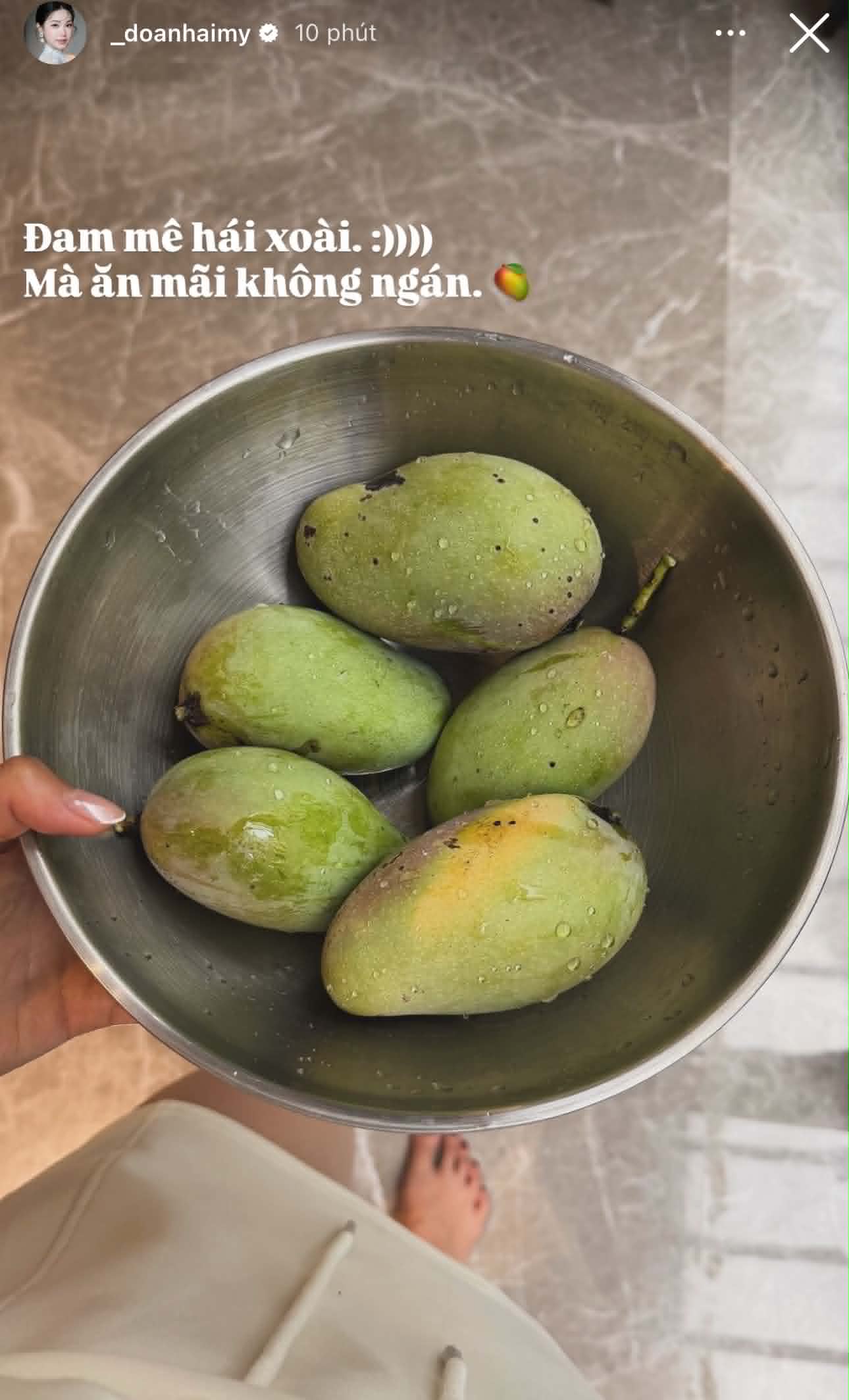 Do&atilde;n Hải My l&agrave;m vợ Văn Hậu: S&aacute;ng học thạc sĩ, chiều về h&aacute;i ớt chăm hoa, thế n&agrave;y ai c&ograve;n thương hại nữa kh&ocirc;ng? - Ảnh 3.