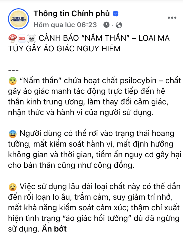Cảnh b&aacute;o về ma tu&yacute; "nấm thần"- Ảnh 1.