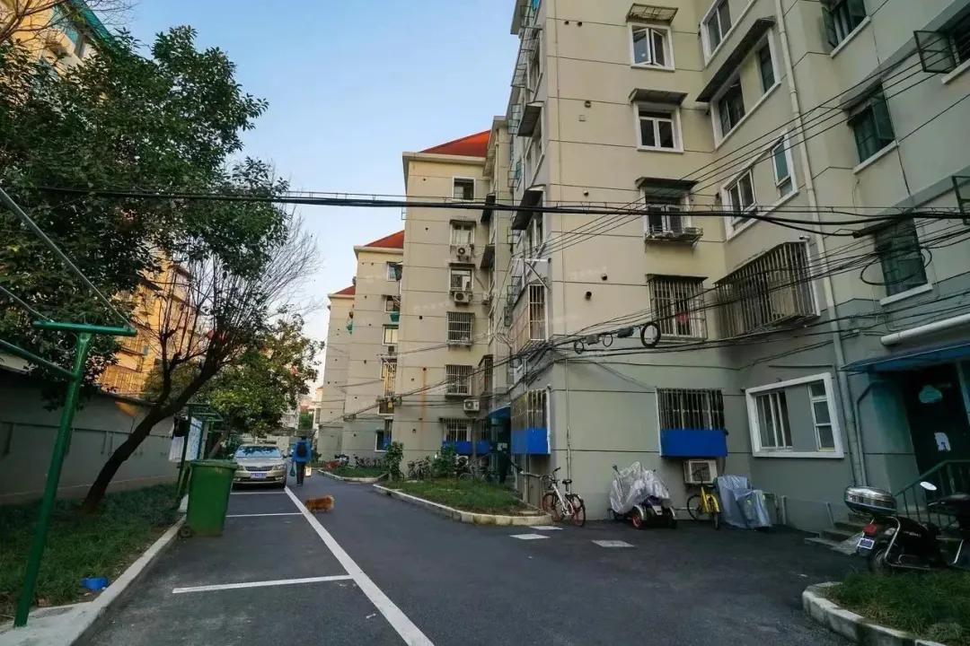 &ldquo;Nhiều người ch&ecirc; căn hộ tầng 1 vừa cũ vừa tối, nhưng sau nửa năm sống ở đ&acirc;y, t&ocirc;i thấy m&igrave;nh đ&atilde; chọn đ&uacute;ng&rdquo;: C&acirc;u chuyện khiến nhiều người suy nghĩ lại về chữ &ldquo;an cư&rdquo;- Ảnh 1.
