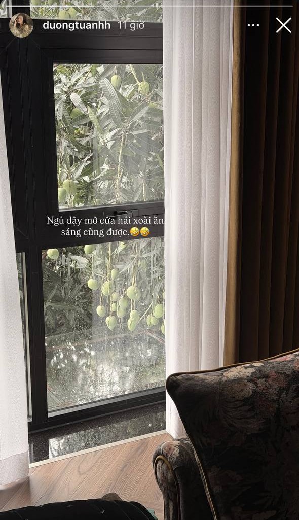 Thứ tr&aacute;i c&acirc;y rẻ b&egrave;o được giới nh&agrave; gi&agrave;u m&ecirc; nhất hiện tại: Tăng Thanh H&agrave;, Mỹ T&acirc;m, Do&atilde;n Hải My trồng k&iacute;n biệt thự- Ảnh 8.