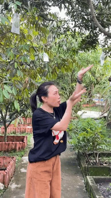 Thứ tr&aacute;i c&acirc;y rẻ b&egrave;o được giới nh&agrave; gi&agrave;u m&ecirc; nhất hiện tại: Tăng Thanh H&agrave;, Mỹ T&acirc;m, Do&atilde;n Hải My trồng k&iacute;n biệt thự- Ảnh 5.