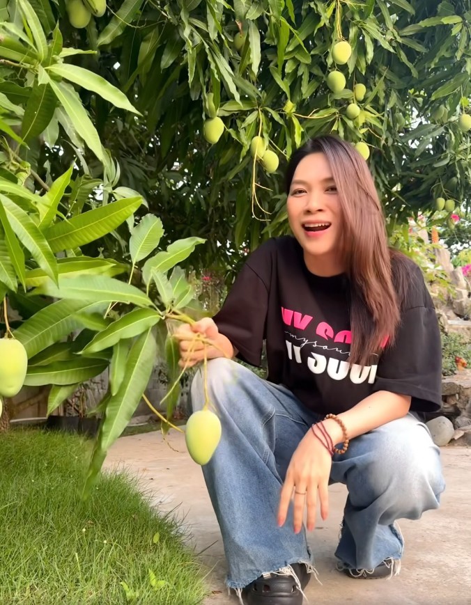 Thứ tr&aacute;i c&acirc;y rẻ b&egrave;o được giới nh&agrave; gi&agrave;u m&ecirc; nhất hiện tại: Tăng Thanh H&agrave;, Mỹ T&acirc;m, Do&atilde;n Hải My trồng k&iacute;n biệt thự- Ảnh 6.