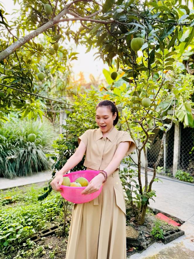 Thứ tr&aacute;i c&acirc;y rẻ b&egrave;o được giới nh&agrave; gi&agrave;u m&ecirc; nhất hiện tại: Tăng Thanh H&agrave;, Mỹ T&acirc;m, Do&atilde;n Hải My trồng k&iacute;n biệt thự- Ảnh 7.
