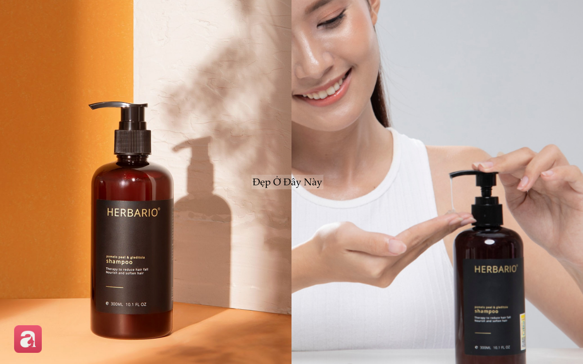 5 chai dầu gội "made in Vietnam" gi&aacute; b&igrave;nh d&acirc;n: L&agrave;m sạch s&acirc;u m&agrave; kh&ocirc;ng kh&ocirc; t&oacute;c, c&ograve;n bồng bềnh tự nhi&ecirc;n- Ảnh 3.