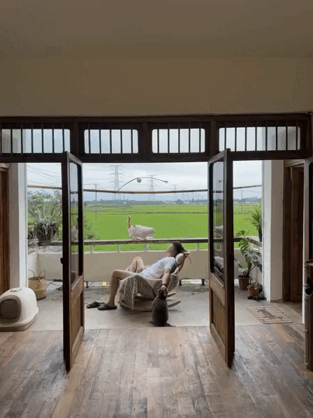 Ch&agrave;ng trai 9x sửa nh&agrave; khiến cả c&otilde;i mạng ch&uacute; &yacute;: View c&aacute;nh đồng chill kh&ocirc;ng thể tả, nh&igrave;n muốn bỏ phố về qu&ecirc;- Ảnh 4.