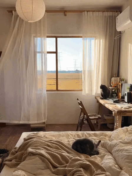 Ch&agrave;ng trai 9x sửa nh&agrave; khiến cả c&otilde;i mạng ch&uacute; &yacute;: View c&aacute;nh đồng chill kh&ocirc;ng thể tả, nh&igrave;n muốn bỏ phố về qu&ecirc;- Ảnh 6.