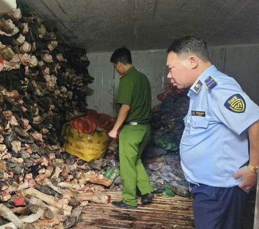 Tiến h&agrave;nh kiểm tra, thu giữ 1.200 kg nội tạng, xương b&ograve; bẩn tại một cơ sở kinh doanh ở H&agrave; Nội- Ảnh 2.
