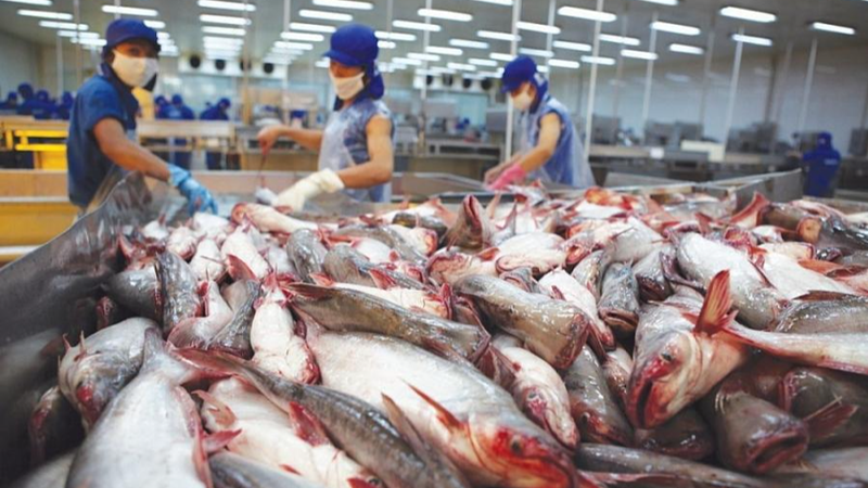 Một đặc sản Việt đang 'đổi vận' nhờ sức mua khủng từ nước l&aacute;ng giềng: Thu về hơn 500 triệu USD trong qu&yacute; I- Ảnh 3.