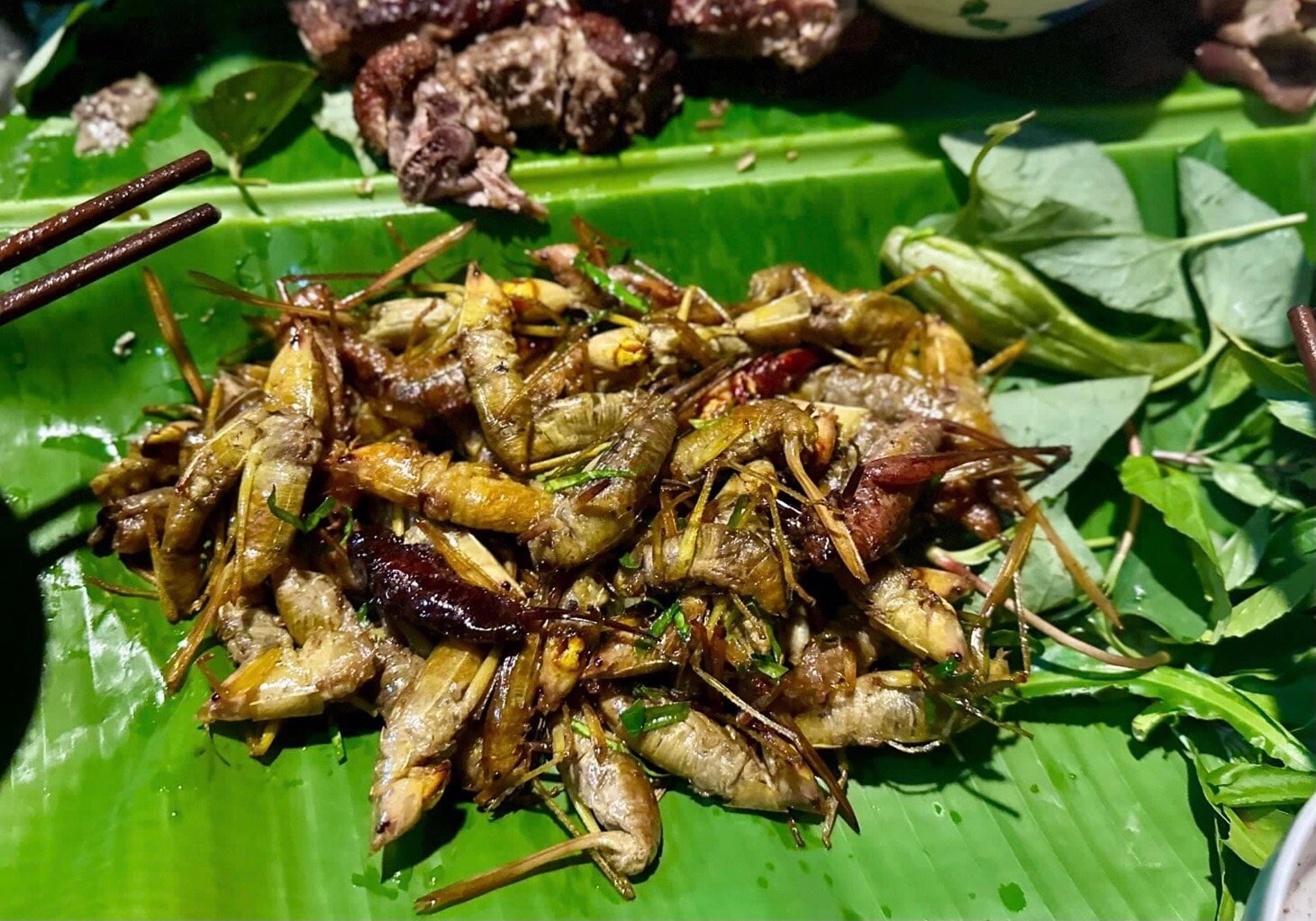 "C&ocirc;n tr&ugrave;ng bay" gi&aacute; cả triệu đồng/kg: Ngon, bổ nhưng khi ăn cần lưu &yacute;- Ảnh 6.