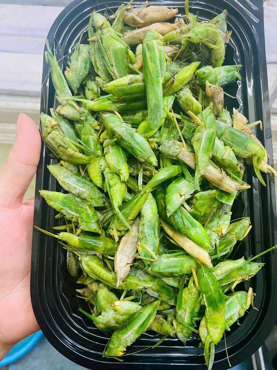 "C&ocirc;n tr&ugrave;ng bay" gi&aacute; cả triệu đồng/kg: Ngon, bổ nhưng khi ăn cần lưu &yacute;- Ảnh 2.