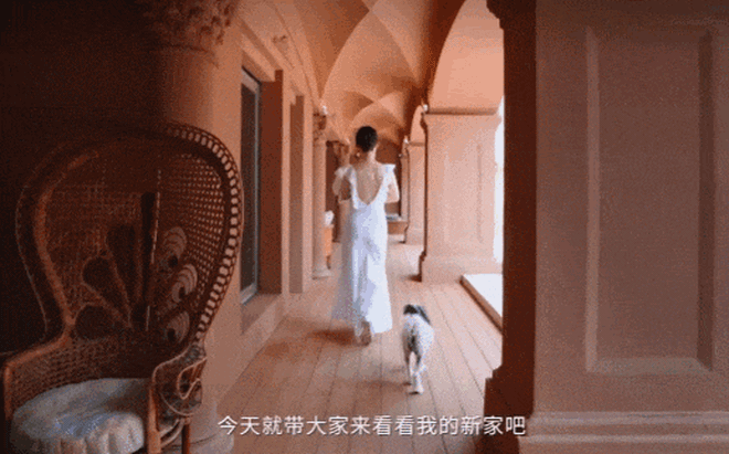 Ph&uacute; b&agrave; showbiz c&oacute; chồng l&ecirc;n TikTok "thả th&iacute;nh" hot girl: X&acirc;y biệt phủ 20.000m2, chi tiền tỷ nu&ocirc;i chim c&ocirc;ng v&agrave; hơn chục ch&uacute; ch&oacute; trong nh&agrave;- Ảnh 7.