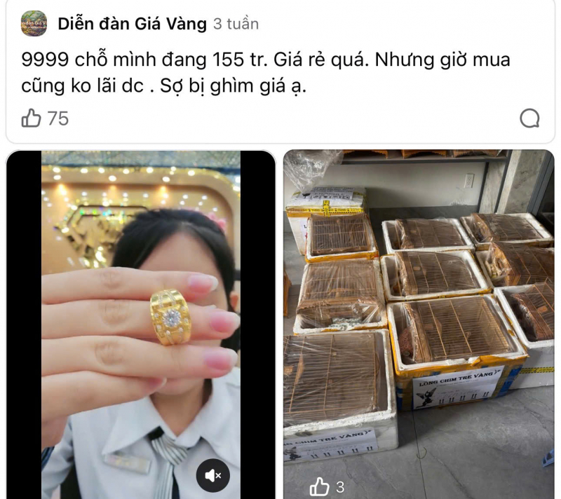 Lời khuy&ecirc;n quan trọng cho người sắp mua v&agrave;ng- Ảnh 1.