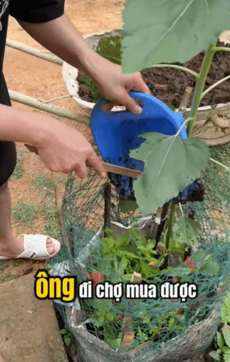 Vợ chồng trẻ người Th&aacute;i từ Điện Bi&ecirc;n xuống Hưng Y&ecirc;n l&agrave;m c&ocirc;ng nh&acirc;n, tổng thu nhập 18 triệu, nu&ocirc;i con nhỏ vẫn dư 7 triệu: Người khen vun v&eacute;n, người bảo kham khổ- Ảnh 15.