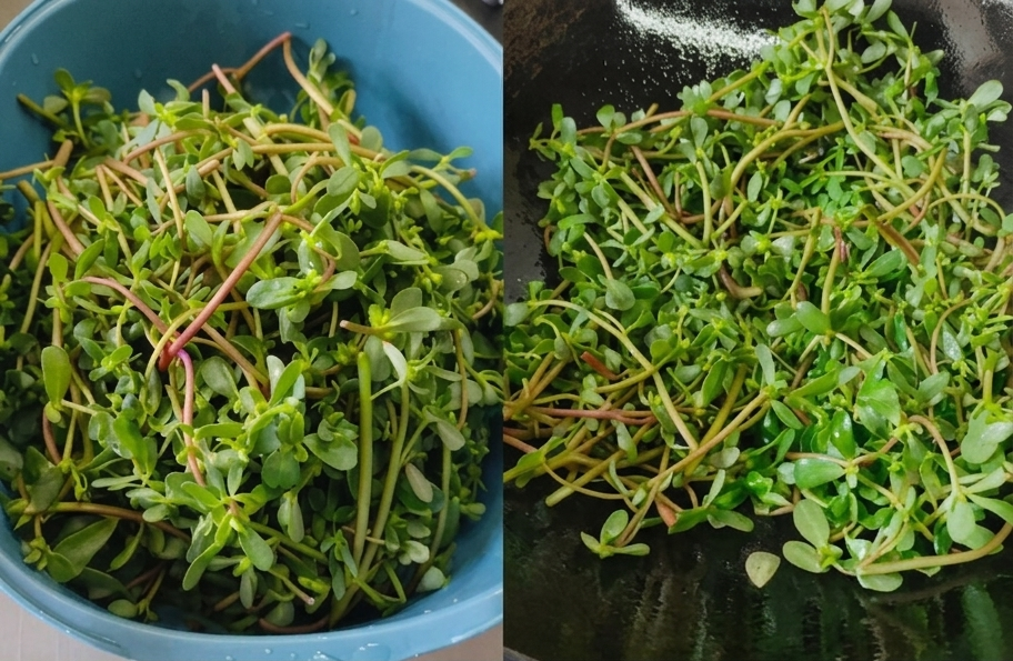 4 m&oacute;n rau n&agrave;y l&agrave; lựa chọn h&agrave;ng đầu để ăn trong m&ugrave;a h&egrave;: Dễ nấu lại ngon miệng v&agrave; gi&uacute;p thanh nhiệt, tốt cho tỳ vị- Ảnh 3.