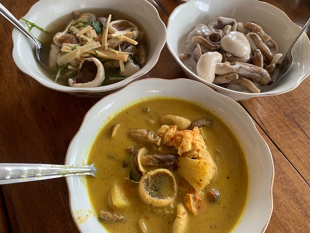 Lo&agrave;i c&acirc;y kỳ lạ chỉ ra 