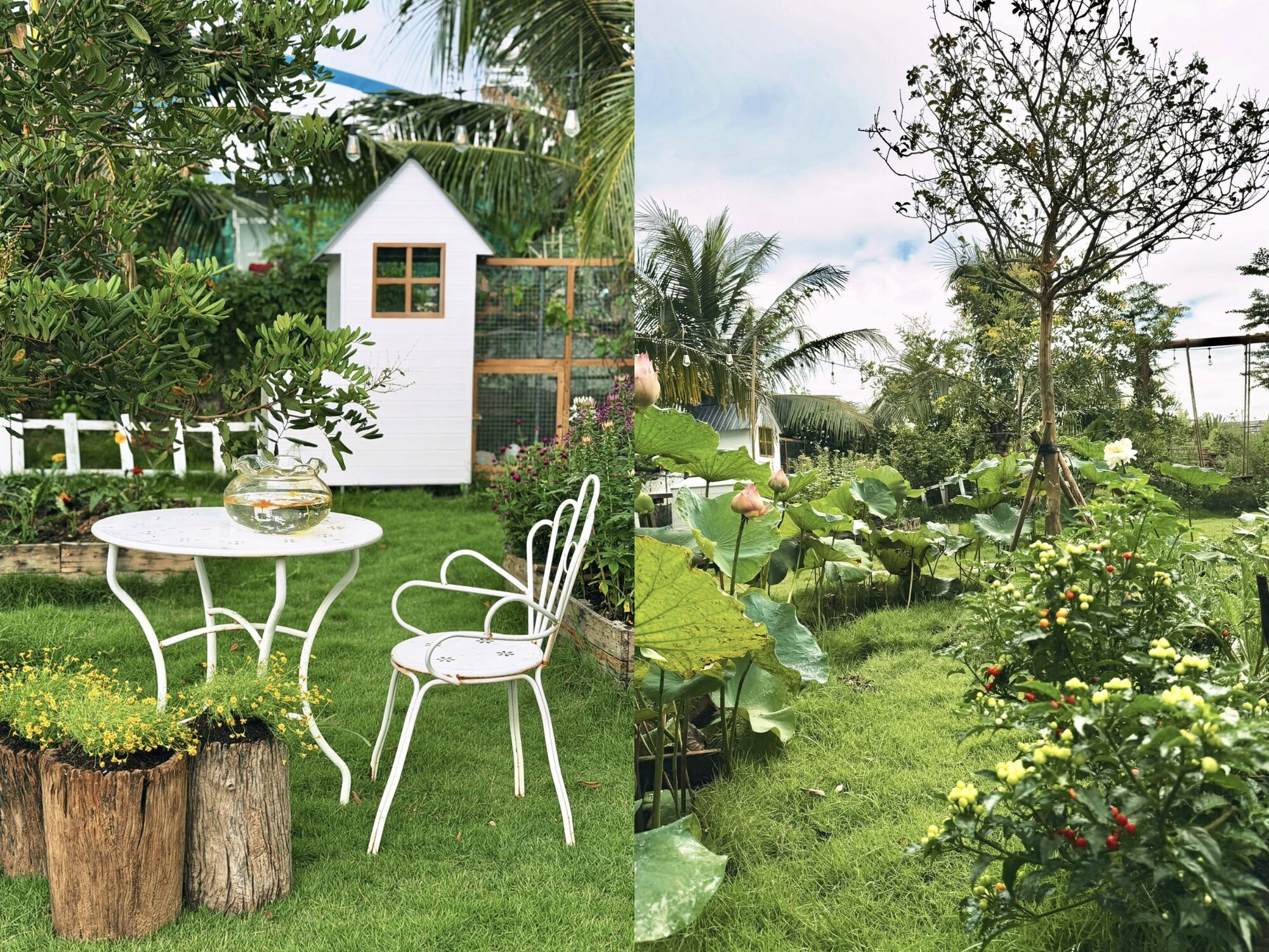 Bỏ việc văn ph&ograve;ng, d&ugrave;ng ChatGPT thiết kế khu vườn tr&ecirc;n mảnh đất 1000m2: "Hết đau cổ vai g&aacute;y th&igrave; chuyển sang đau lưng v&igrave; cuốc đất"- Ảnh 27.