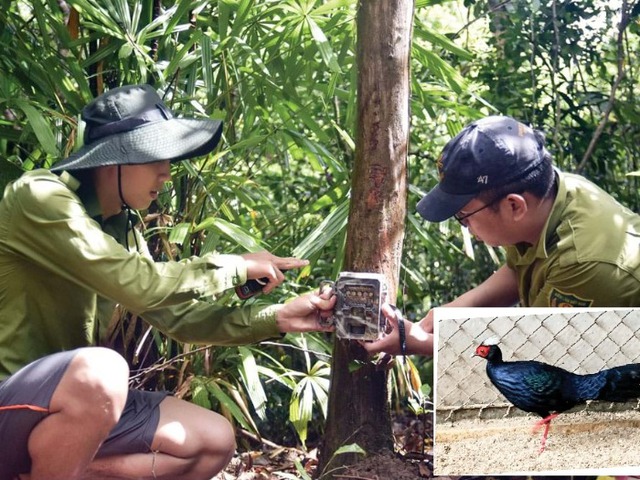 Loài động vật quý hiếm chỉ Việt Nam có, giới khoa học khẩn cấp bảo tồn: Số lượng chưa đến 50 con- Ảnh 4. Loài động vật quý hiếm chỉ Việt Nam có, giới khoa học khẩn cấp bảo tồn: Số lượng chưa đến 50 con- Ảnh 4.
