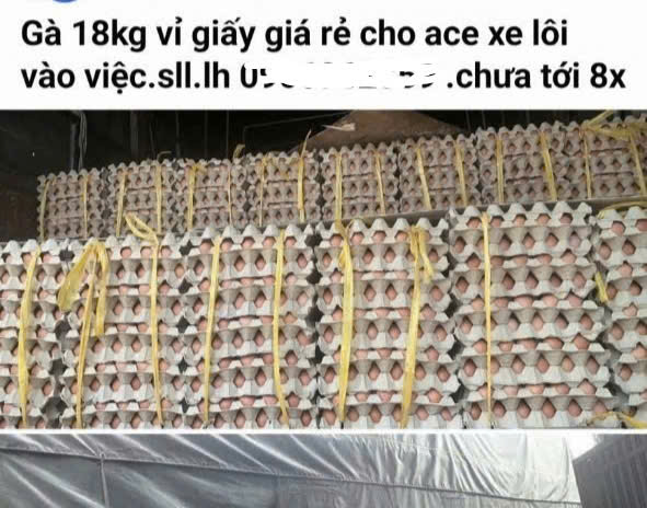 Trứng g&agrave; cận date tr&agrave;n ngập thị trường, chủ trang trại lỗ tiền tỉ- Ảnh 1.