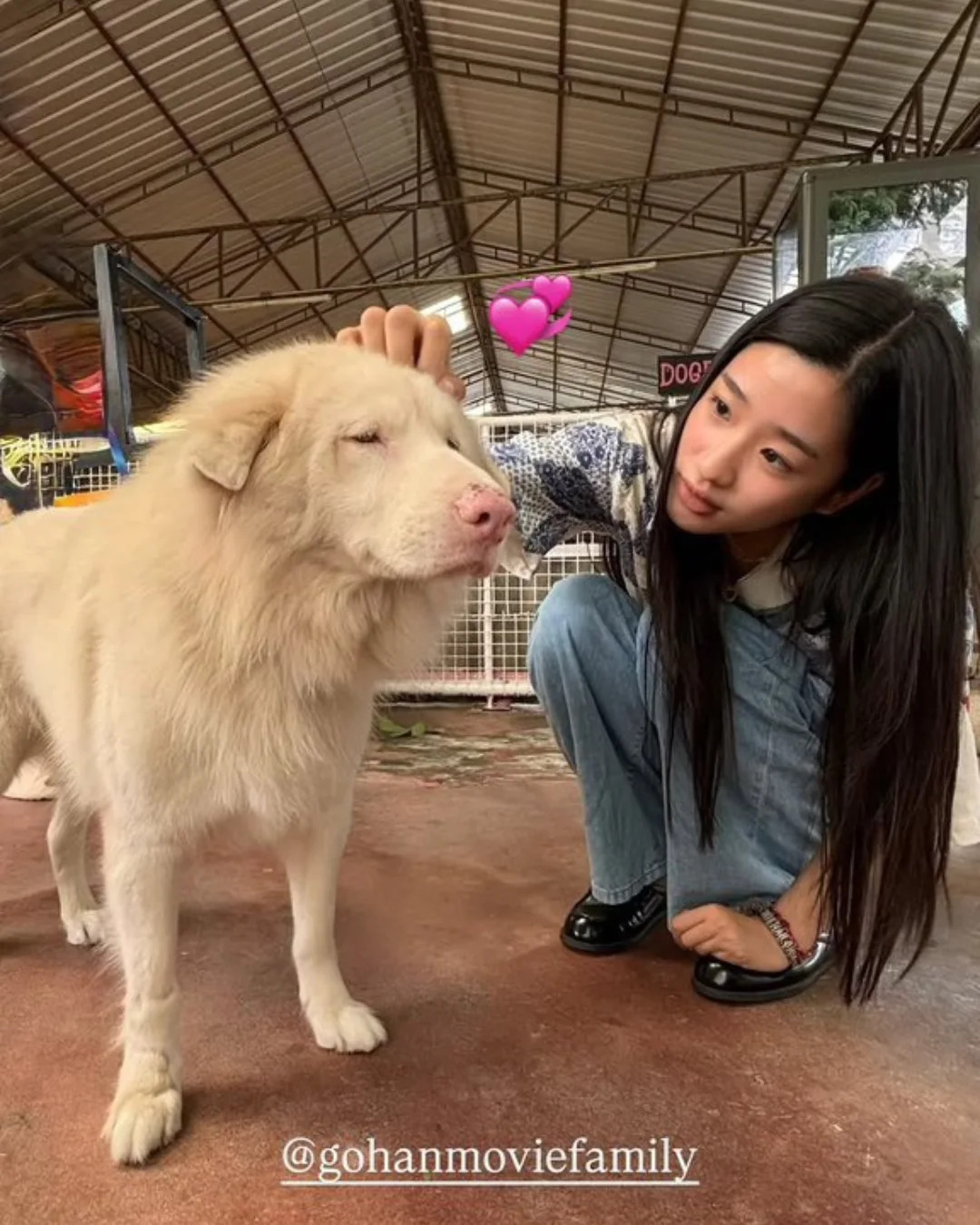 Mỹ nh&acirc;n l&agrave;m đứt chuỗi phim Việt top 1 ph&ograve;ng v&eacute; suốt 87 ng&agrave;y, thở th&ocirc;i cũng khiến cả nước gh&eacute;t bỏ- Ảnh 4.