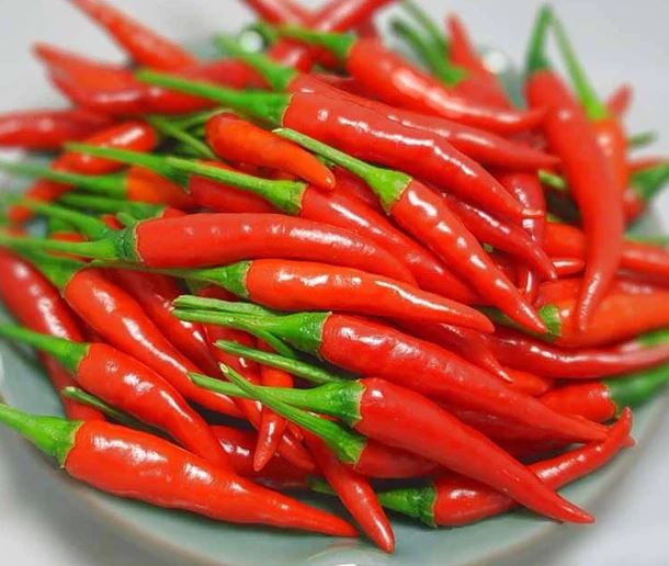 Ăn ớt 3 bữa mỗi ng&agrave;y, người đ&agrave;n &ocirc;ng 56 tuổi xuất hiện dấu hiệu &ldquo;lạ&rdquo; - Ảnh 2.