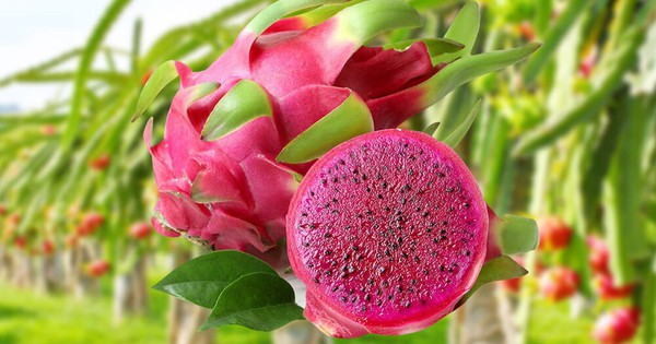 B&aacute;c sĩ Bệnh viện Bạch Mai giải th&iacute;ch l&yacute; do ăn nhiều rau nhưng t&ocirc;i vẫn bị t&aacute;o b&oacute;n - Ảnh 2.