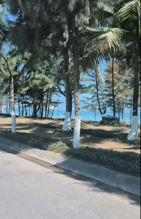 Vợ chồng rời H&agrave; Nội v&agrave;o Đ&agrave; Nẵng, sau hơn 1 năm đ&atilde; x&acirc;y căn nh&agrave; thứ 2 ở tuổi 40: Kh&ocirc;ng &ldquo;nghỉ hưu sớm&rdquo; m&agrave; tự tăng thu nhập từ nhu cầu du lịch- Ảnh 2.