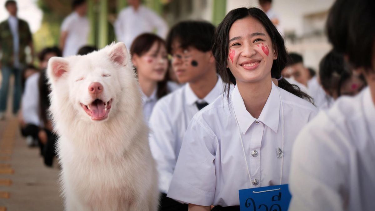 Mỹ nh&acirc;n l&agrave;m đứt chuỗi phim Việt top 1 ph&ograve;ng v&eacute; suốt 87 ng&agrave;y, thở th&ocirc;i cũng khiến cả nước gh&eacute;t bỏ- Ảnh 2.