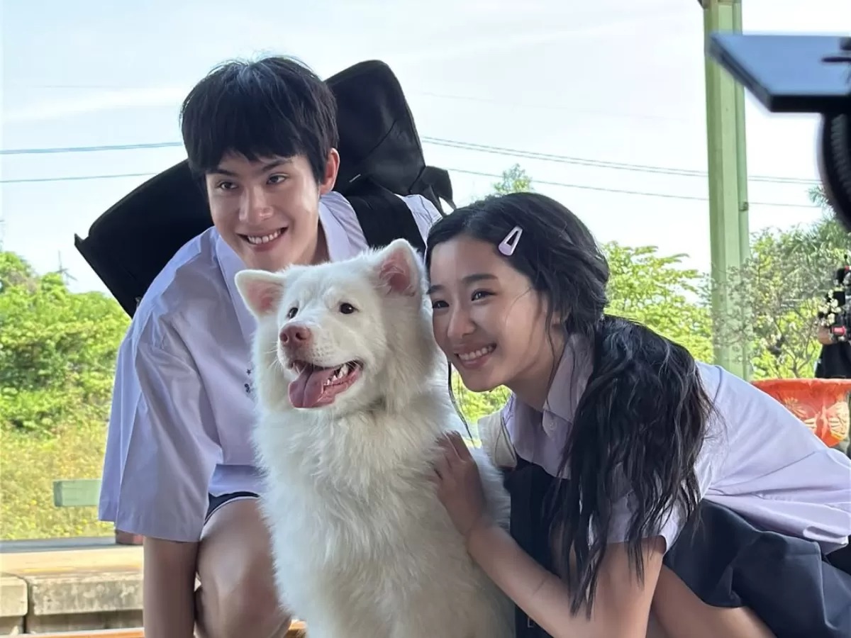 Mỹ nh&acirc;n l&agrave;m đứt chuỗi phim Việt top 1 ph&ograve;ng v&eacute; suốt 87 ng&agrave;y, thở th&ocirc;i cũng khiến cả nước gh&eacute;t bỏ- Ảnh 3.