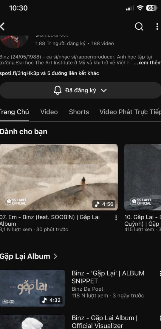 Gặp tranh c&atilde;i lớn với h&igrave;nh ảnh "T&oacute;c Ti&ecirc;n - Touliver", Binz đ&atilde; đổi artwork trong b&agrave;i Em?- Ảnh 2.