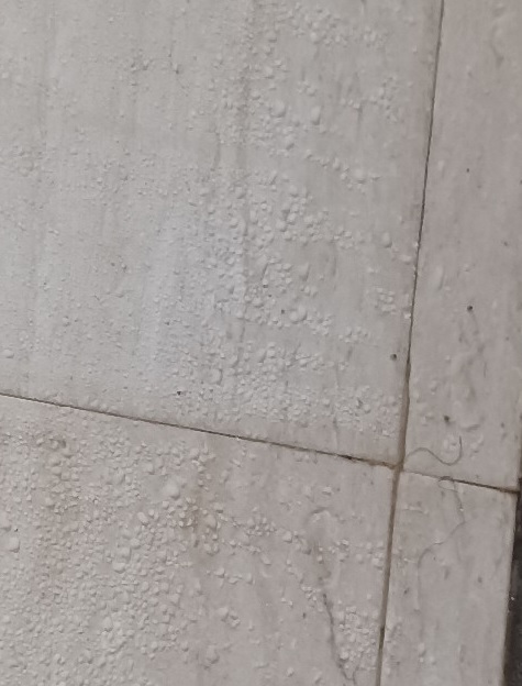 Độ ẩm 100% biến Vũ H&aacute;n - Trung Quốc th&agrave;nh &ldquo;Thủy Li&ecirc;m Động&rdquo; - Ảnh 2.