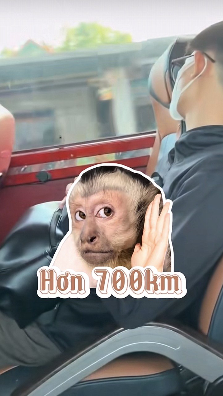 Ch&agrave;ng trai Việt trải nghiệm chuyến xe 18 tiếng đi Th&aacute;i Lan với 1 triệu đồng: "Rẻ th&igrave; c&oacute; rẻ nhưng xin th&ocirc;i!"- Ảnh 2.
