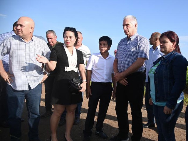 Nhờ Việt Nam, Cuba đón vụ mùa lúa năng suất chưa từng có: Đích thân Chủ tịch Cuba xuống thăm, cảm ơn- Ảnh 3. Nhờ Việt Nam, Cuba đón vụ mùa lúa năng suất chưa từng có: Đích thân Chủ tịch Cuba xuống thăm, cảm ơn- Ảnh 3.