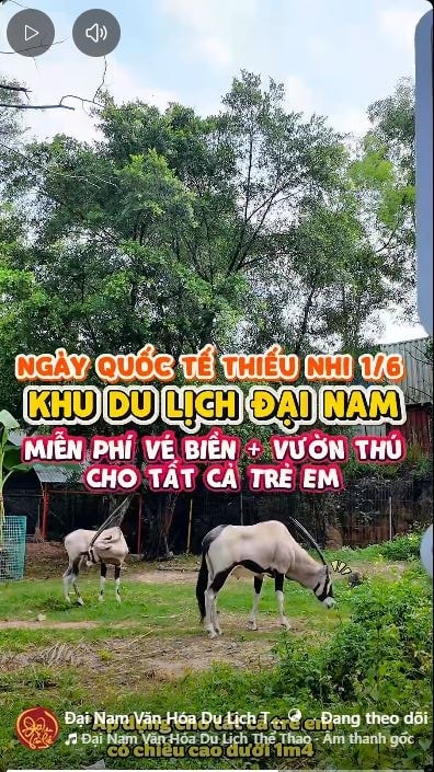 Tin rất vui: Đúng ngày 1/6, trường hợp đặc biệt này trên toàn quốc được miễn phí một dịch vụ - Ảnh 2.